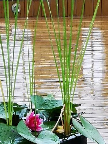 微信图片_202012081801291