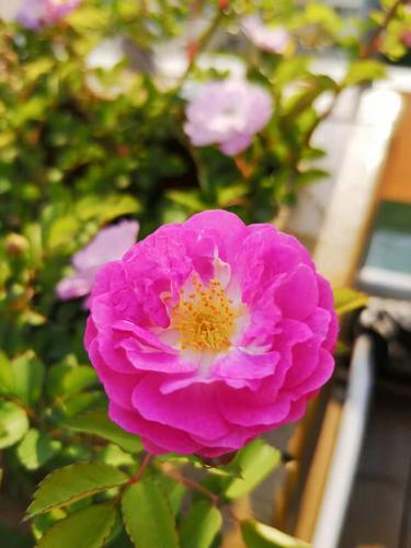 微信图片_202012081801292