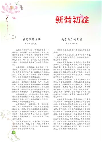 页码 (41) 页码 (41)