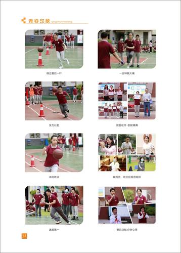 页码 (41) 页码 (41)