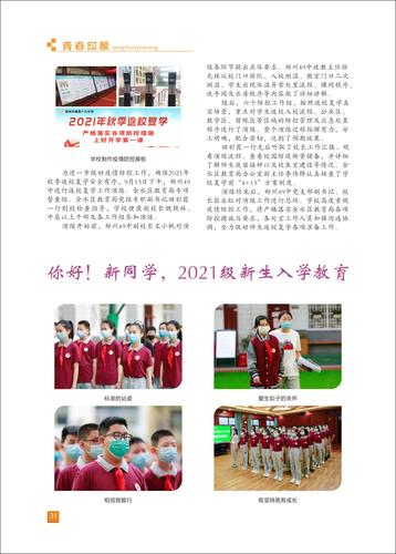 页码 (31) 页码 (31)