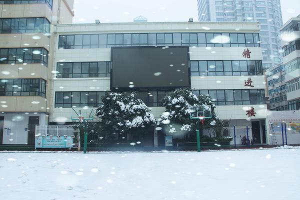 郑州49中雪景（13）