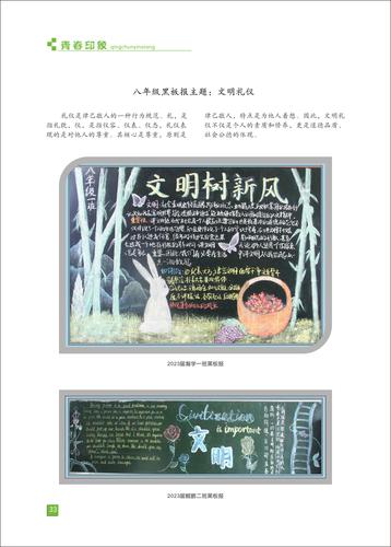 页码 (33) 页码 (33)