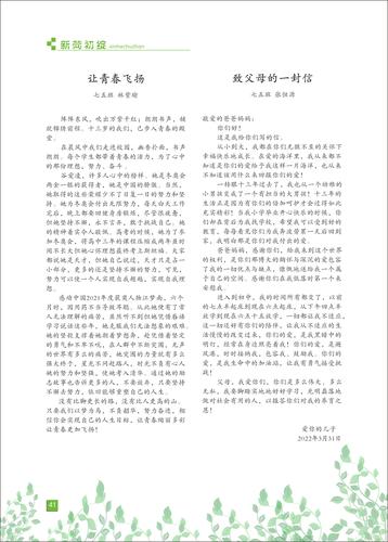 页码 (41) 页码 (41)