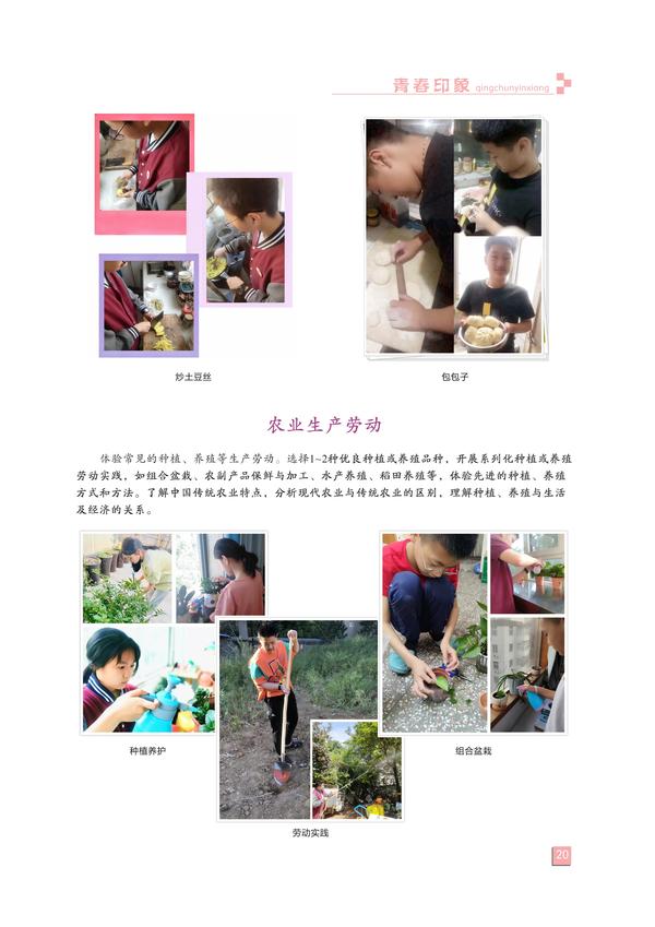 页码(20) 页码(20)