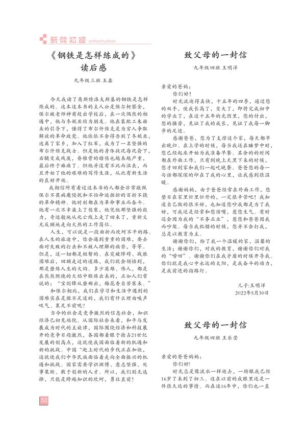 页码(53) 页码(53)