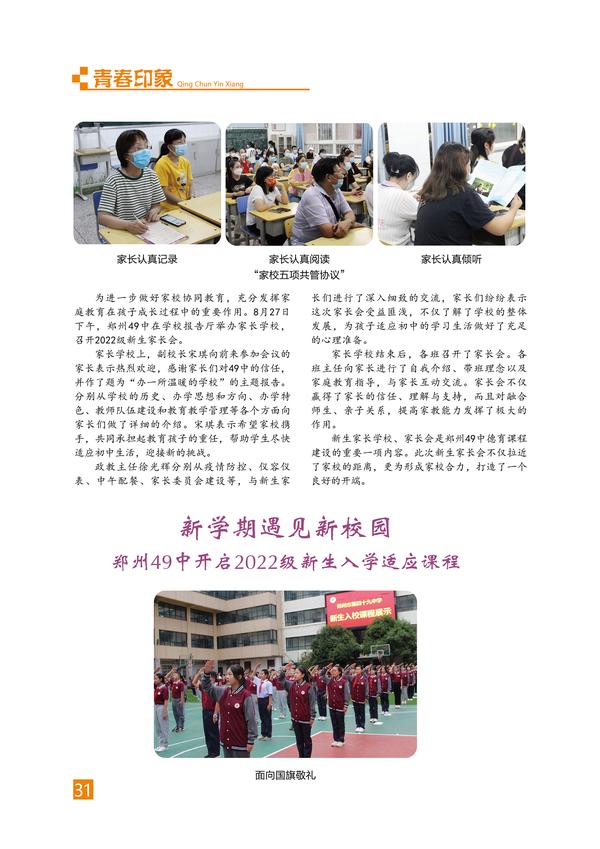 页码 (31) 页码 (31)