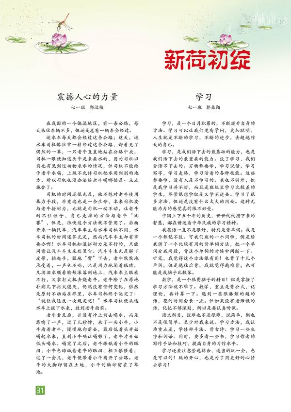 页码 (31) 页码 (31)