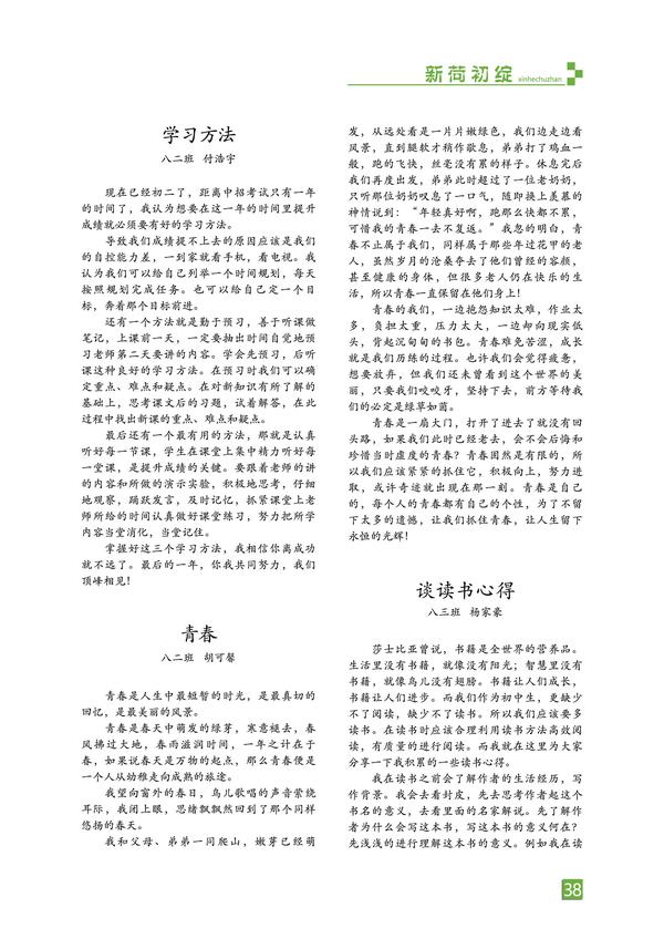 页码 (38) 页码 (38)