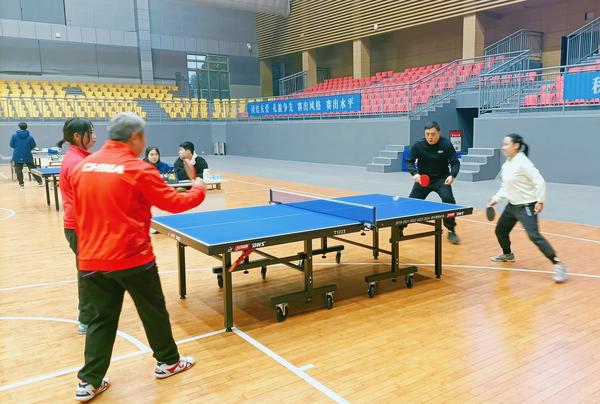 乒乓球比赛 (8) 乒乓球比赛 (8)
