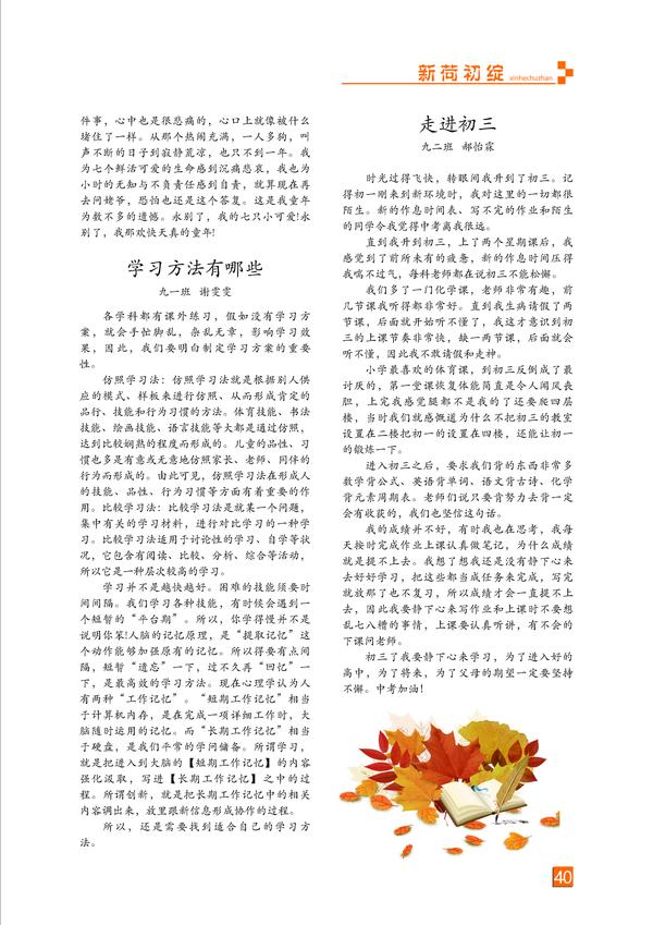 页码 (40) 页码 (40)