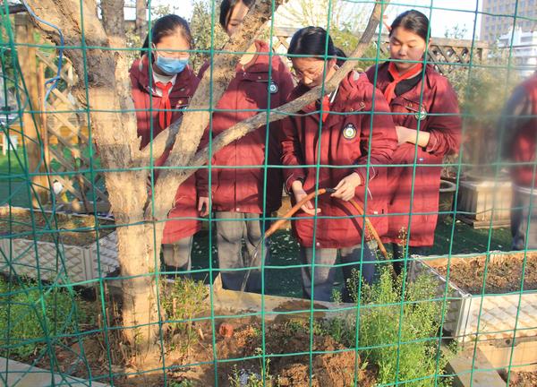 给树木浇水 给树木浇水