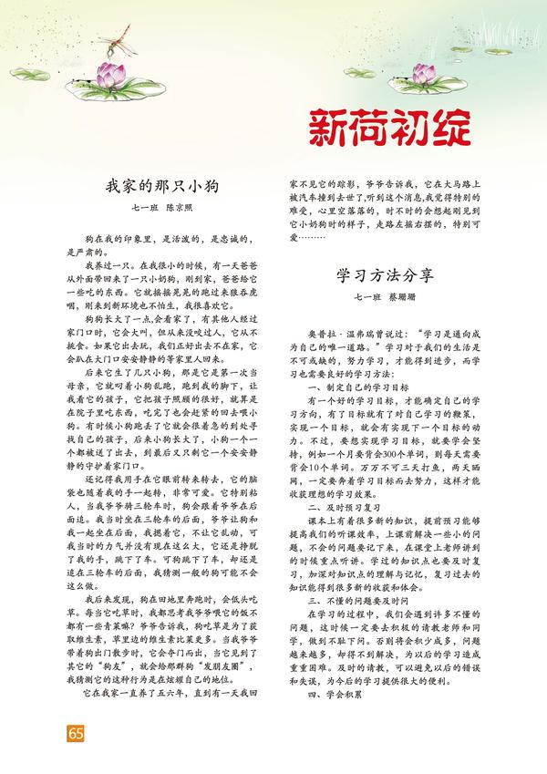 页码 (65) 页码 (65)