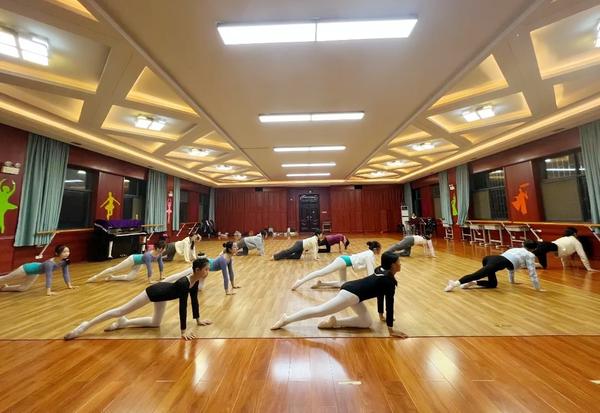 舞蹈 (1) 舞蹈 (1)