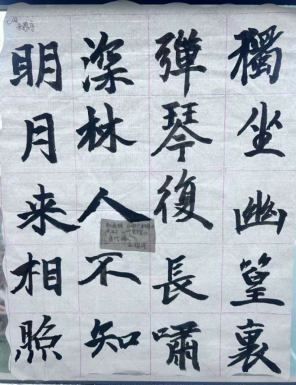 书香满校园 经典润心田 (8)