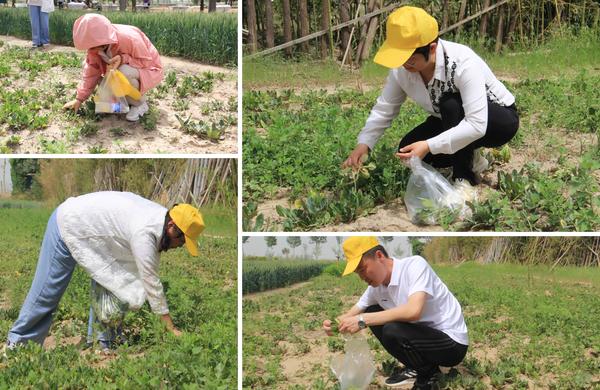 健步走 (7) 健步走 (7)