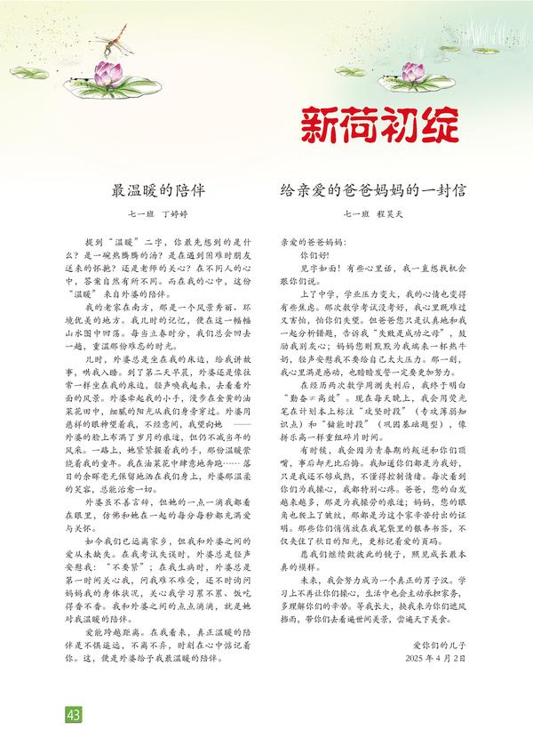 页码 (43) 页码 (43)