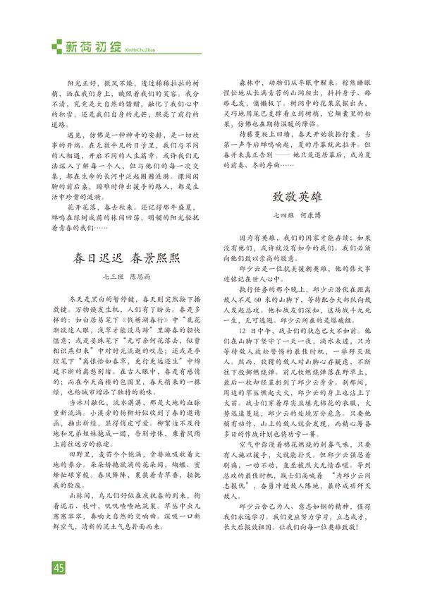 页码 (45) 页码 (45)