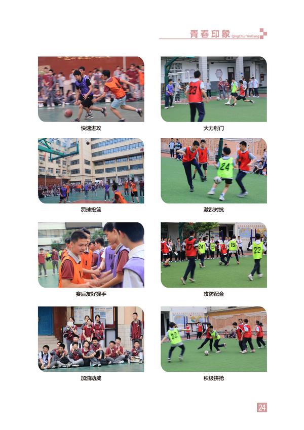 页码 (24) 页码 (24)