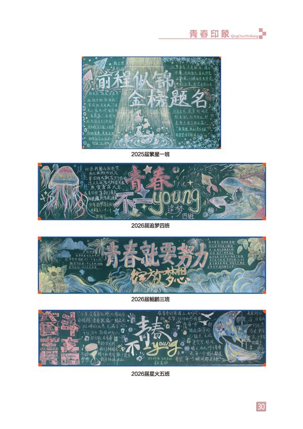 页码 (30) 页码 (30)