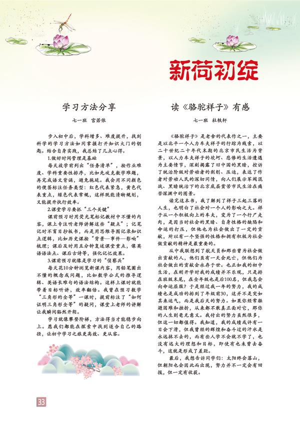 页码 (33) 页码 (33)