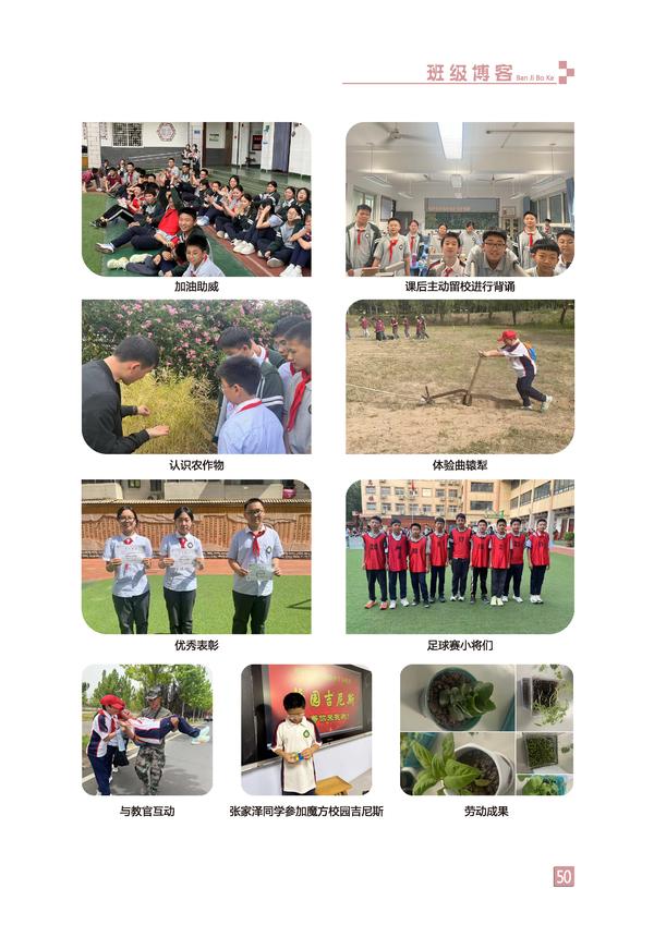 页码 (50) 页码 (50)