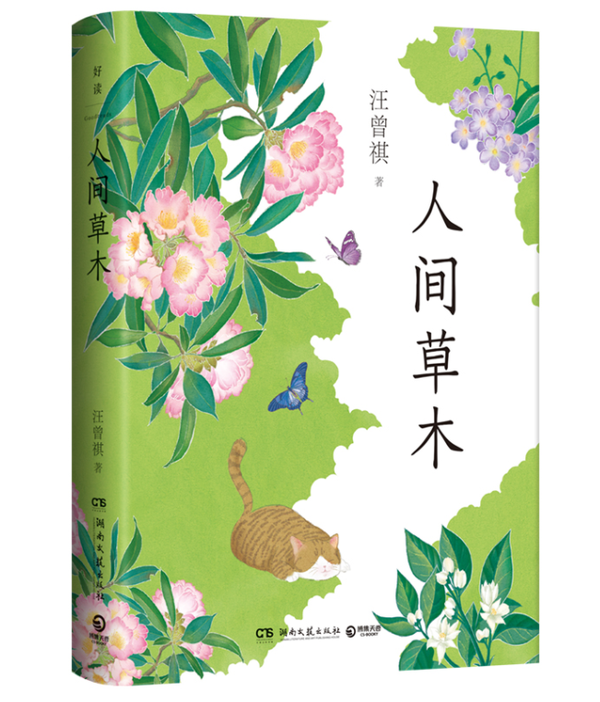 人间草木 人间草木