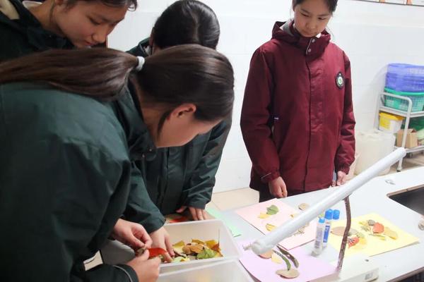 学生自主尝试化学、物理、生物实验1 学生自主尝试化学、物理、生物实验1